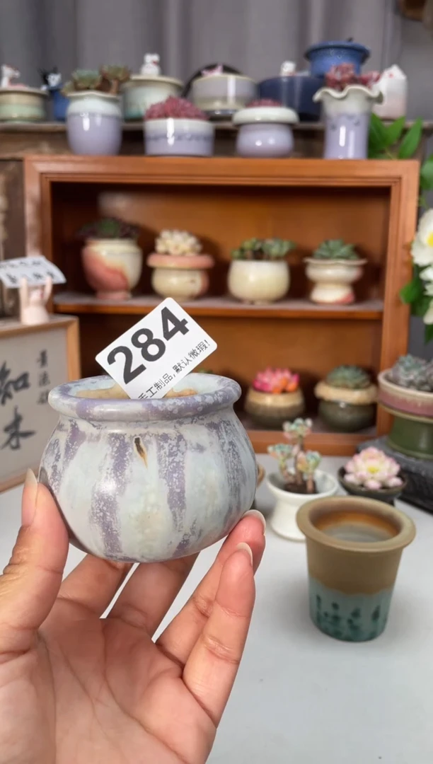 瓷片284福利知木小芳花盆