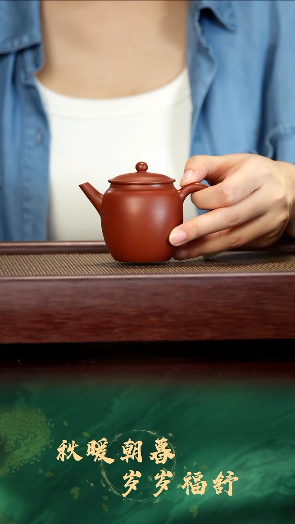 茶壶紫砂紫砂壶孤品福利15