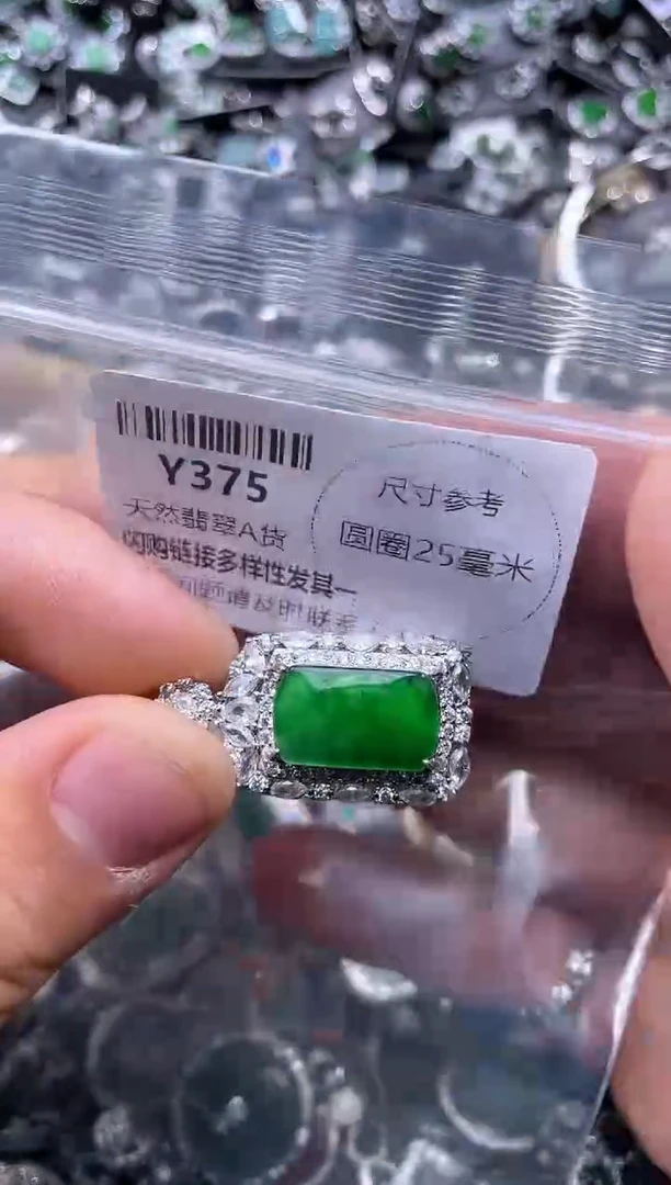 【闪购商品】翡翠颈饰未镶嵌Y375吊坠