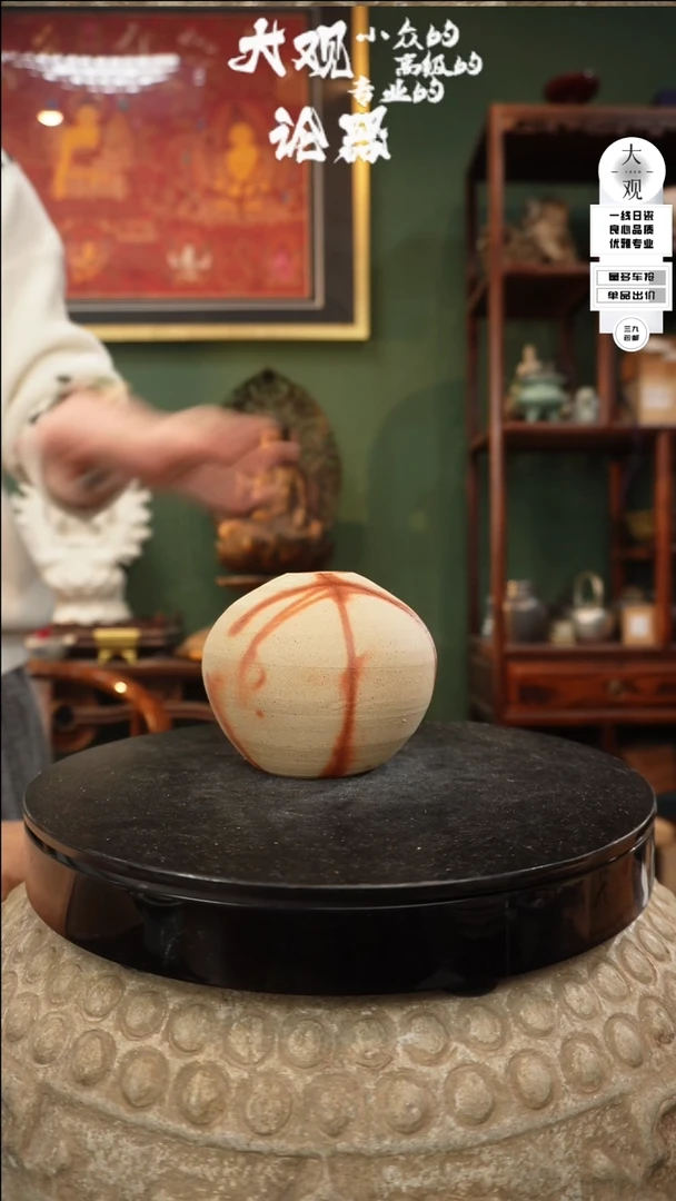 【闪购商品】瓷片大观论器花器