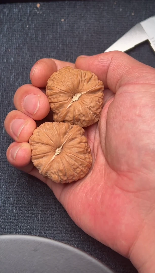 把件文玩核桃✨***子南瓜墩1110  梅林铁子