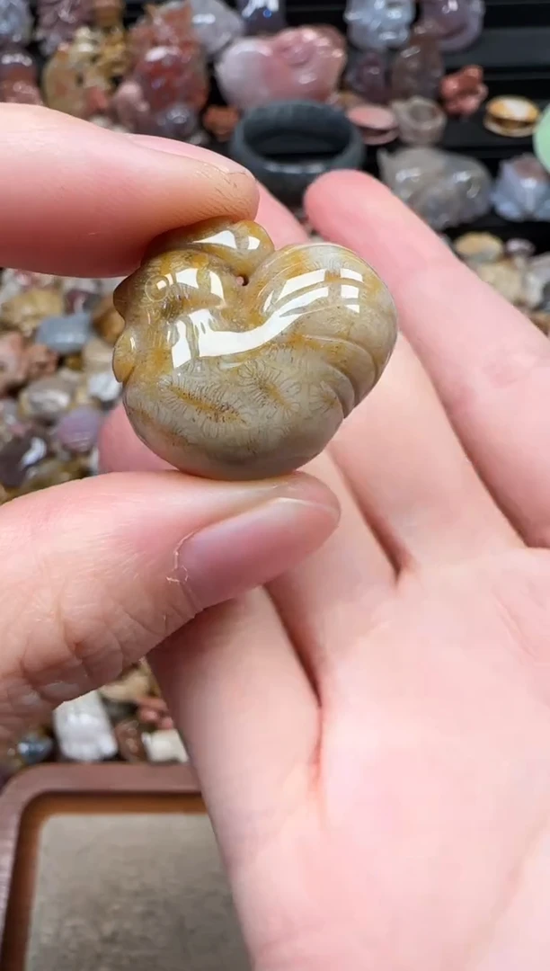 颈饰未镶嵌硅化珊瑚（珊瑚玉）242