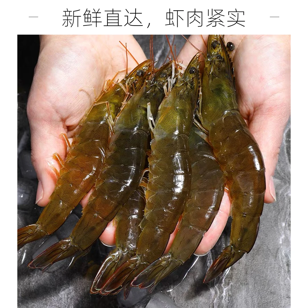 鲜活基围虾3斤/份  包活率90%介意慎拍）