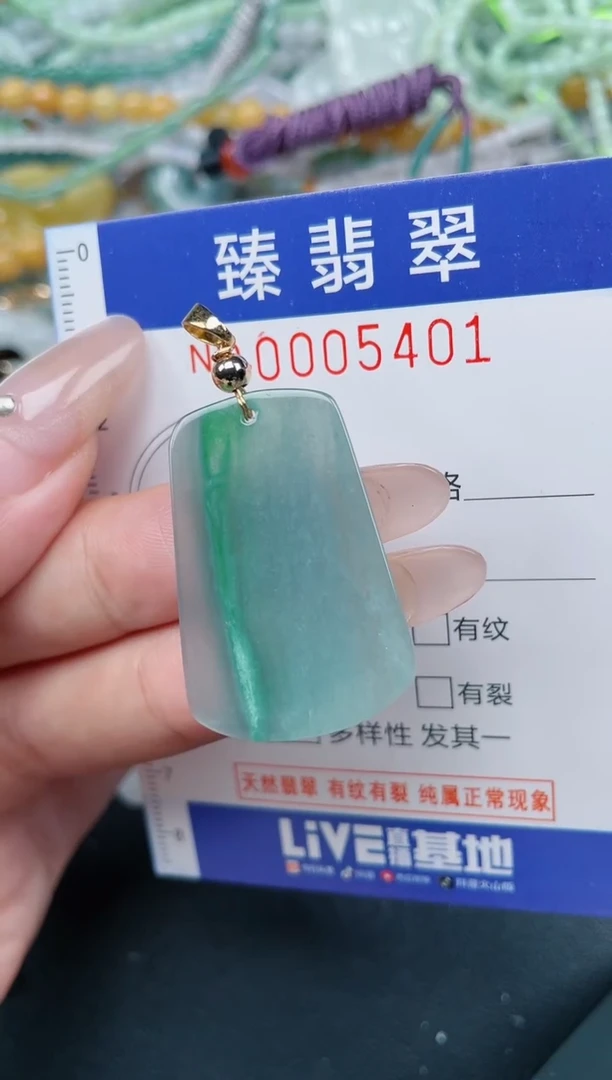 颈饰未镶嵌翡翠.0005401