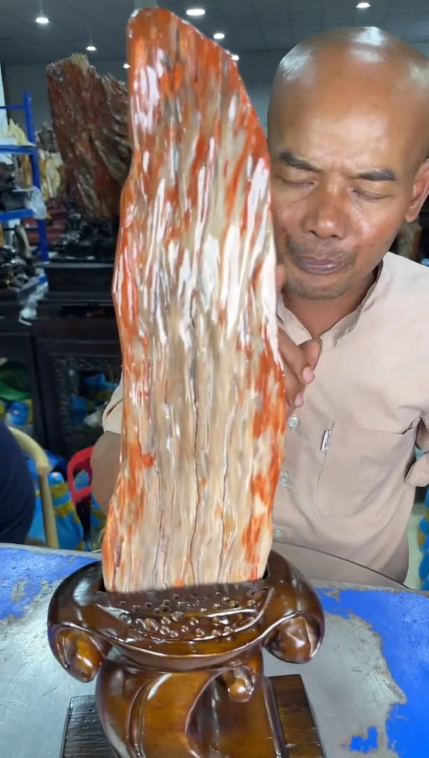 摆件硅化玉未镶嵌8