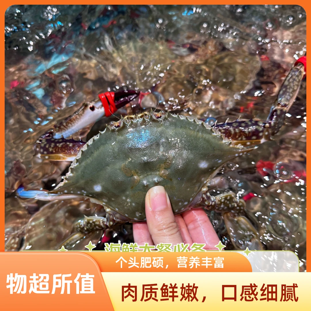 鲜活飞蟹顺丰同城跑腿【保鲜不保活】3-6两/只/1-5斤，2-15只