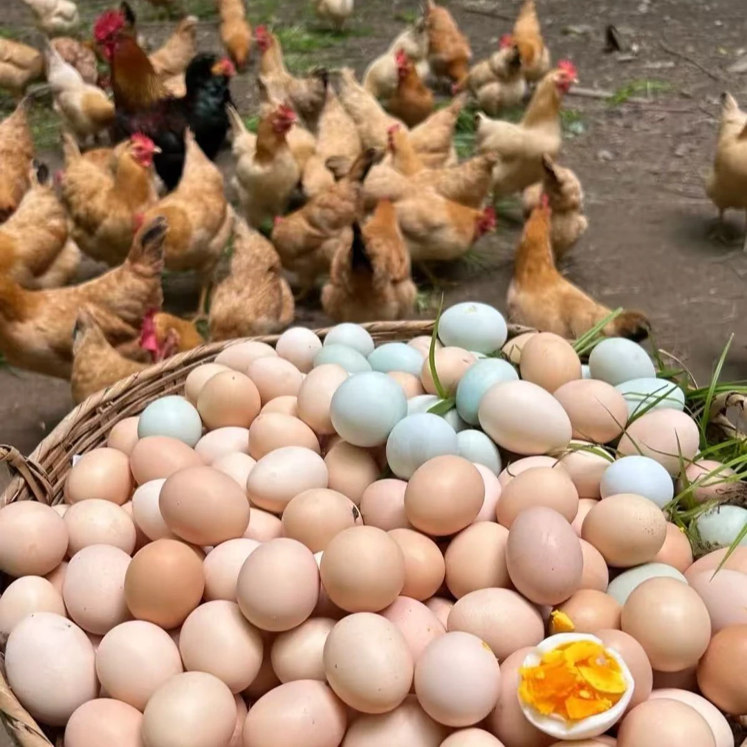 《正宗九华山散养土鸡蛋》新店开业亏本冲量 绵密醇厚货