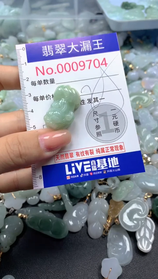 颈饰未镶嵌翡翠9704