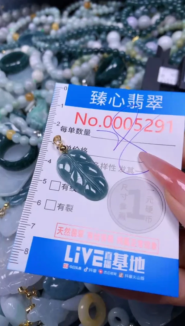 【闪购商品】翡翠颈饰未镶嵌含绳0005291