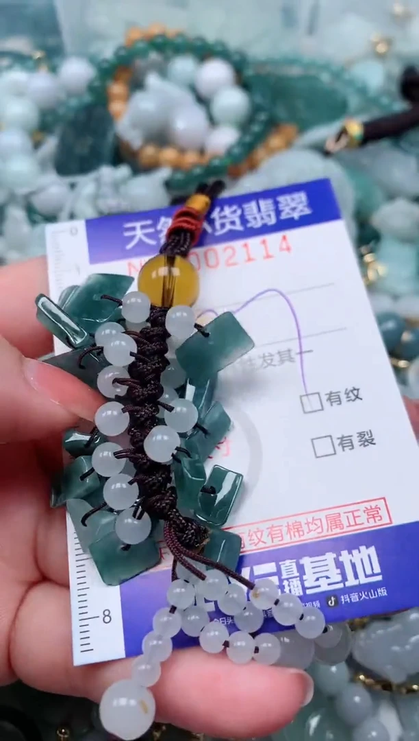 【闪购商品】翡翠颈饰未镶嵌00002114多样性发其一