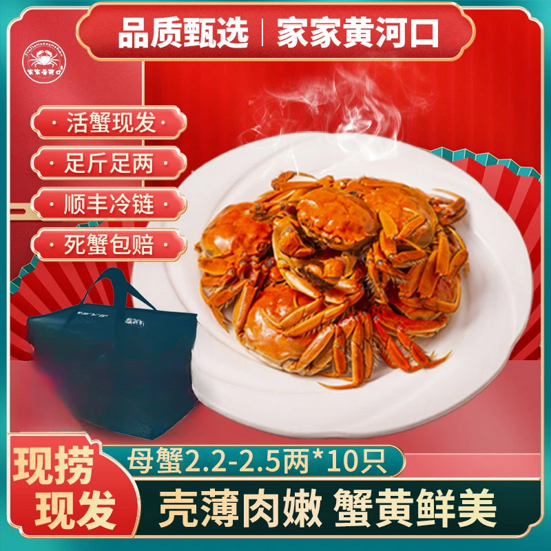 【河蟹】家家黄河口＋母河蟹单只2.2—2.5两 10只装
