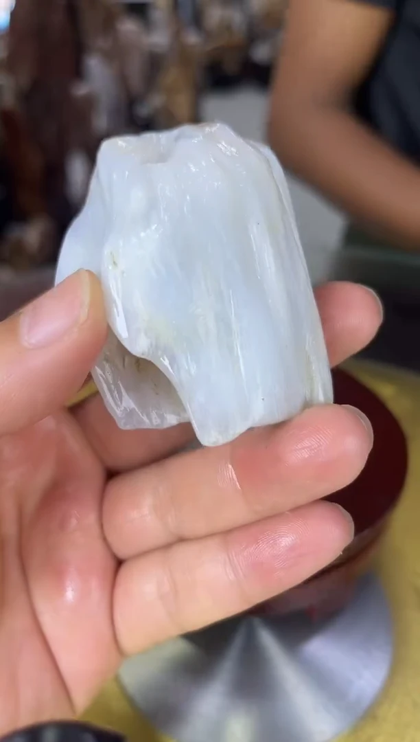 硅化玉珠宝奇石未镶嵌缅甸天然树化玉