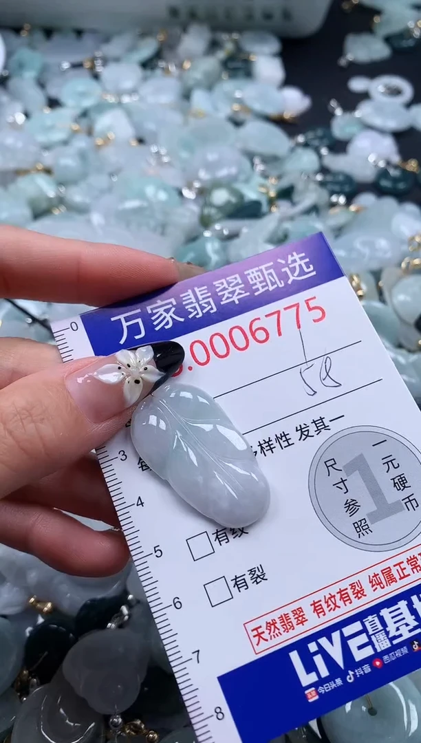 翡翠未镶嵌颈饰6775