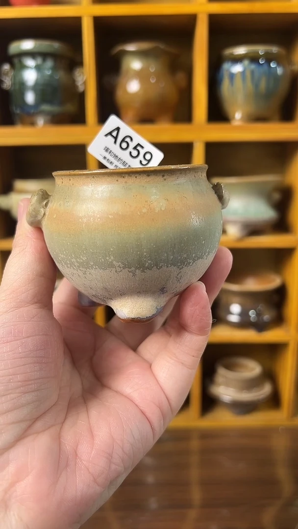 659 内口5.5【多肉花盆多肉盆】