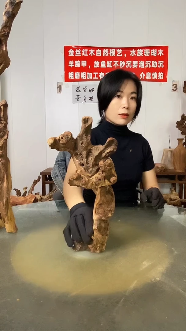 香榧木Y*P金丝红木 羊蹄甲