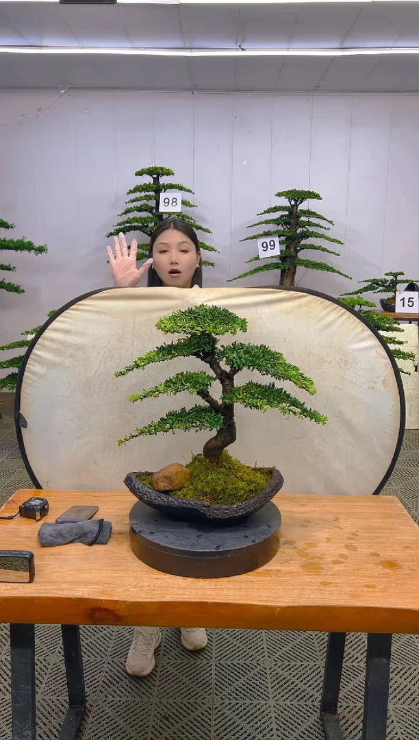 无花朵一物一拍一物一拍