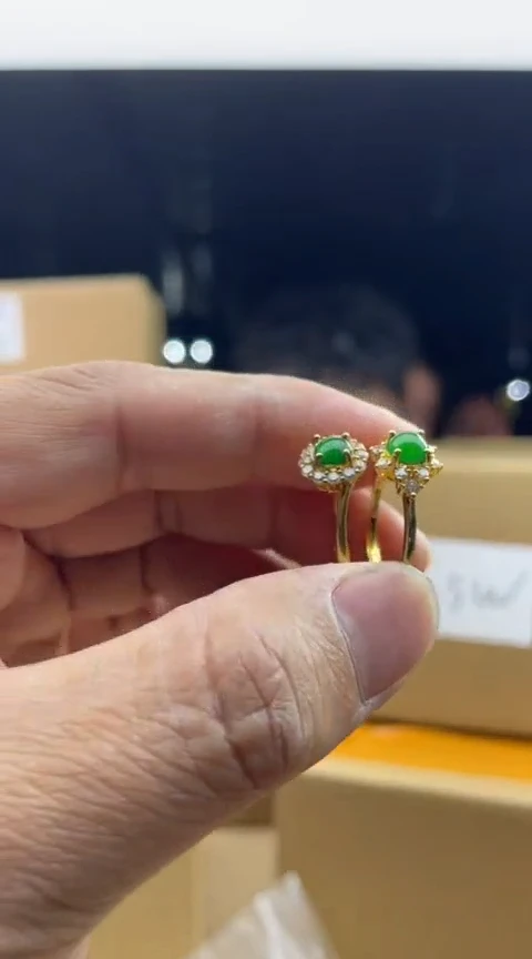 【闪购商品】定制翡翠未镶嵌  多样性发货只发一件  4963