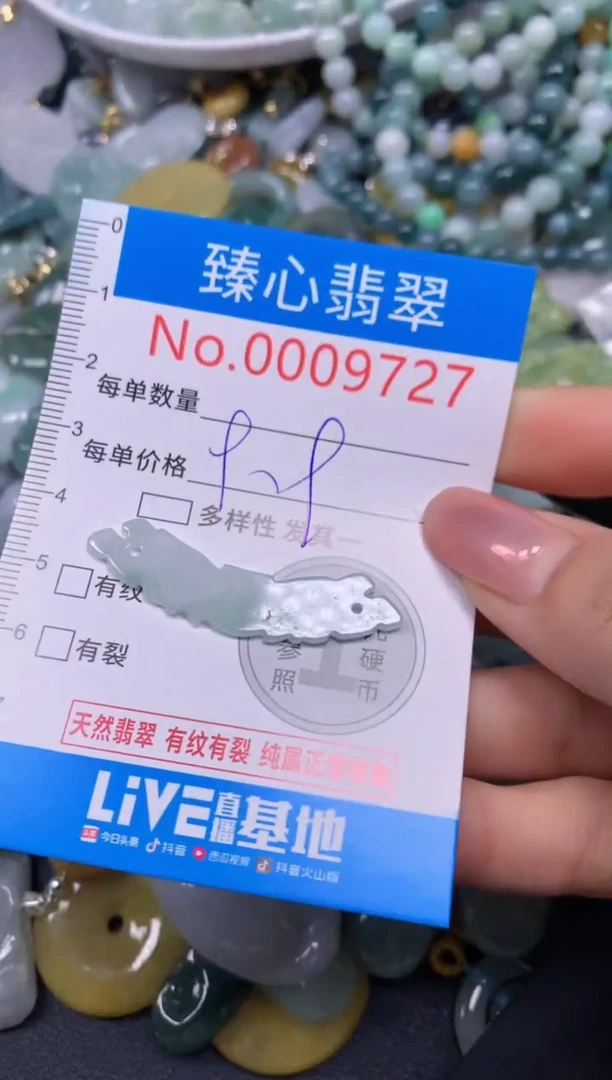 【闪购商品】翡翠颈饰未镶嵌含绳0009727