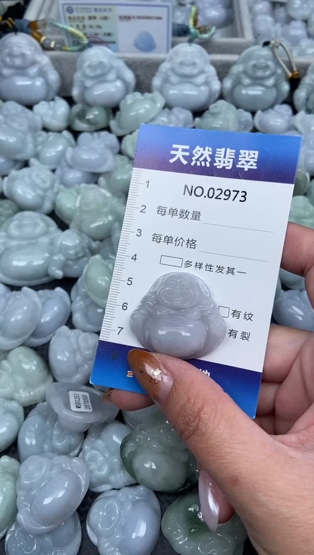 颈饰未镶嵌翡翠纯天然A货翡翠2973