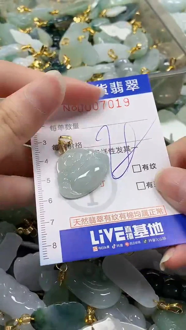 颈饰未镶嵌翡翠纯天然a货翡翠