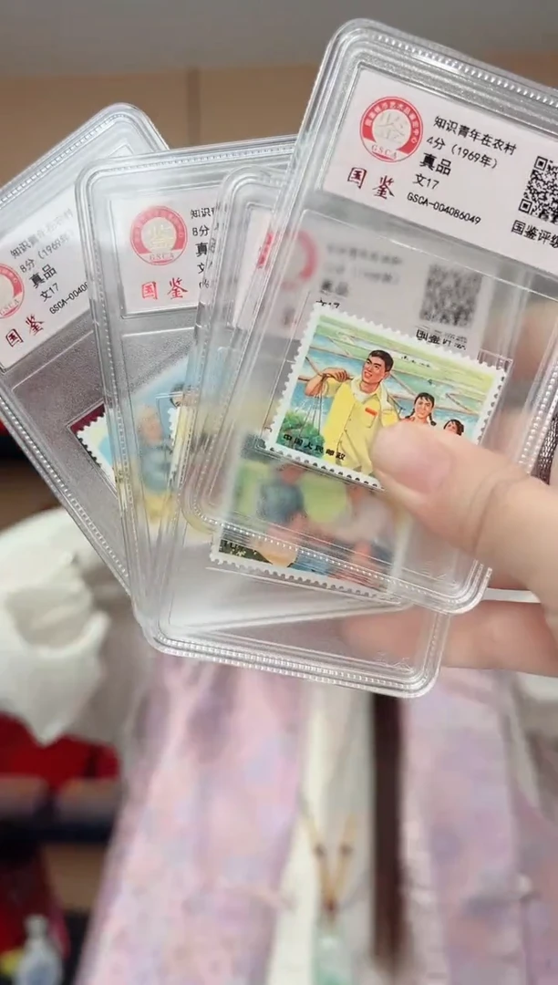 文17 知识青年在农村 真品 盒装 GSCA评级 邮票