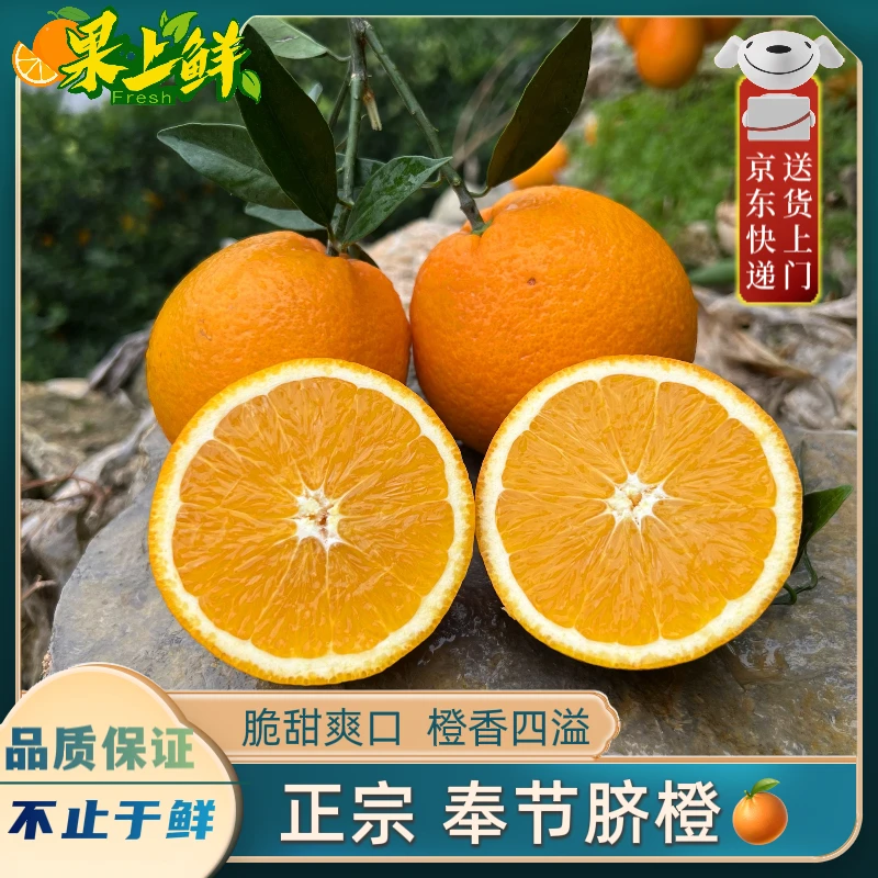 【京东保温】正宗奉节脐橙果园直发新鲜甜橙应季水果净重5/10斤装