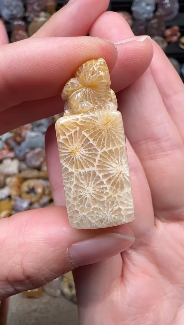 颈饰未镶嵌硅化珊瑚（珊瑚玉）168