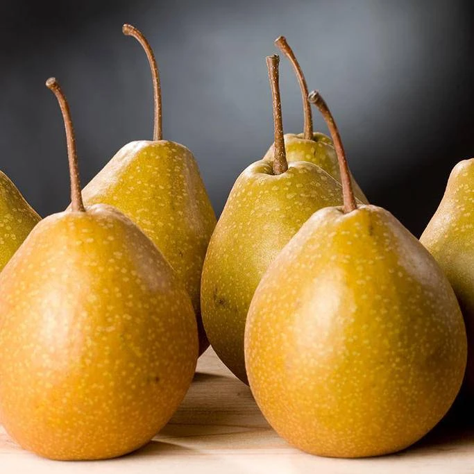 四川苍溪特产雪梨私家梨应季水果现摘发货顺丰包邮脆甜多汁无渣