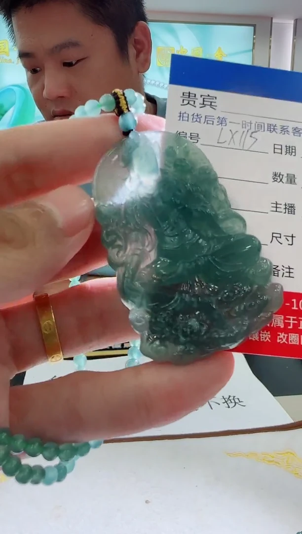 未镶嵌定制翡翠LX115翡翠吊坠赠珠链-多样性发其一