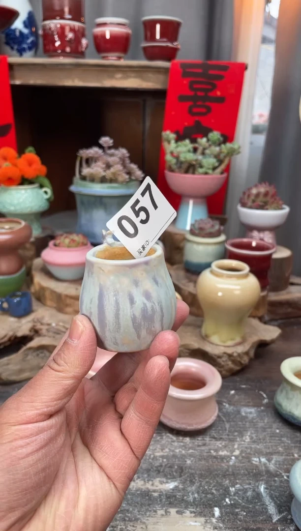 【闪购商品】摆件057知木小芳花盆