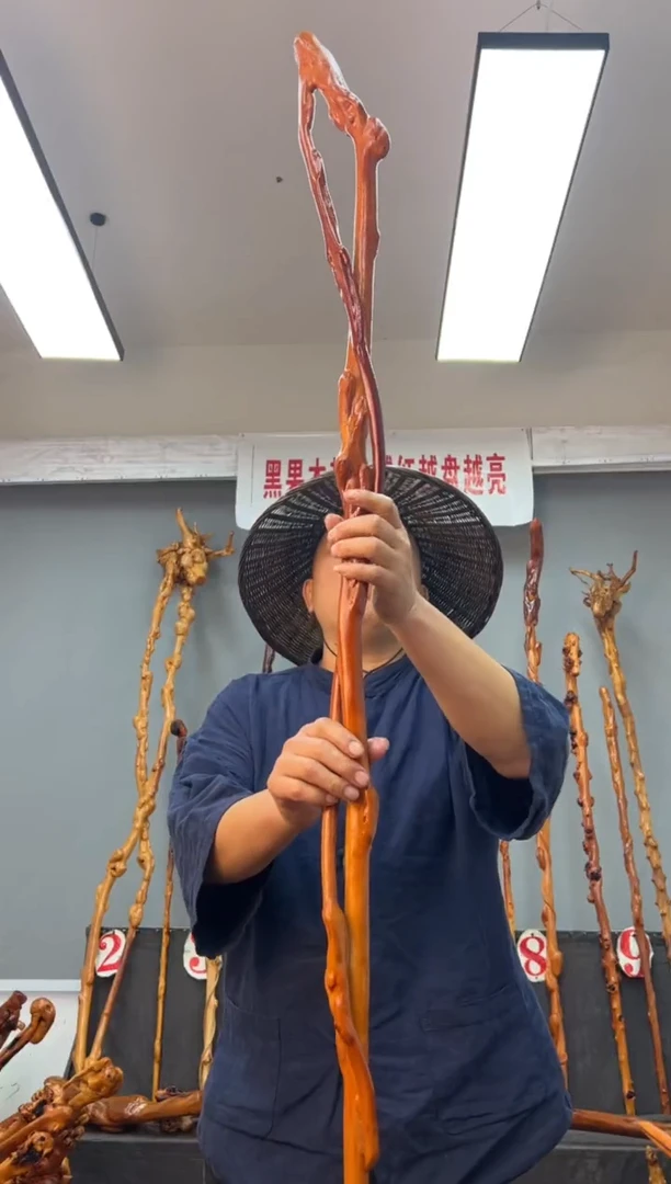 【闪购商品】黑果木其他黑果木052