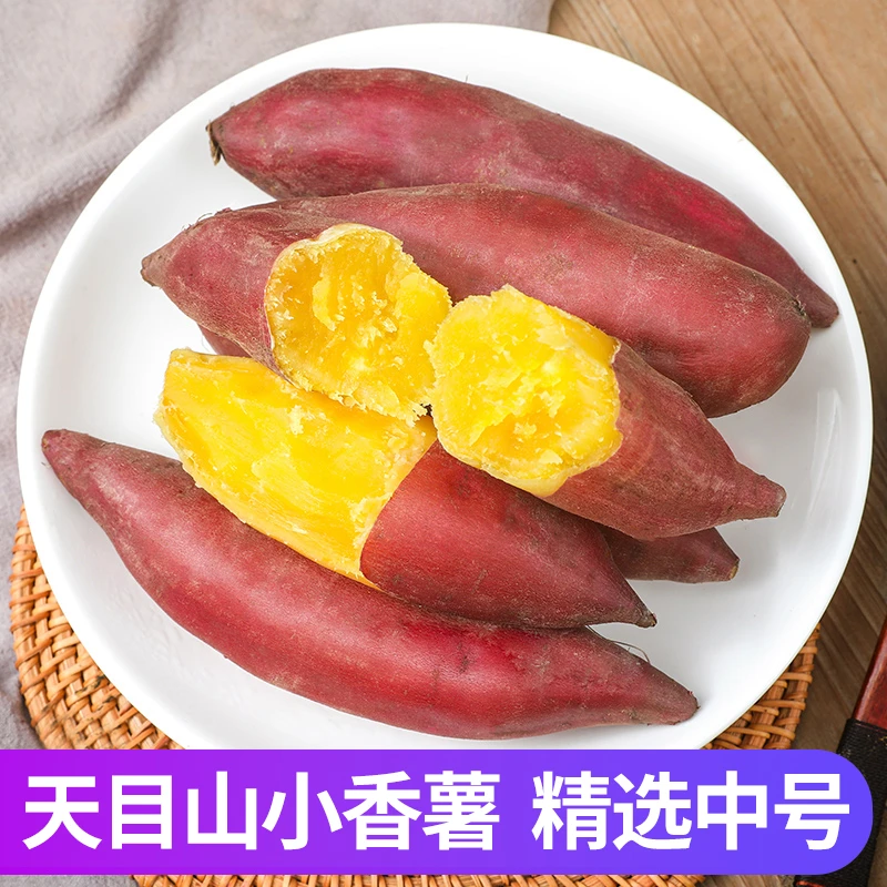 中号5斤临安天目山板栗小香薯新鲜沙地红薯地瓜红薯小香薯健康