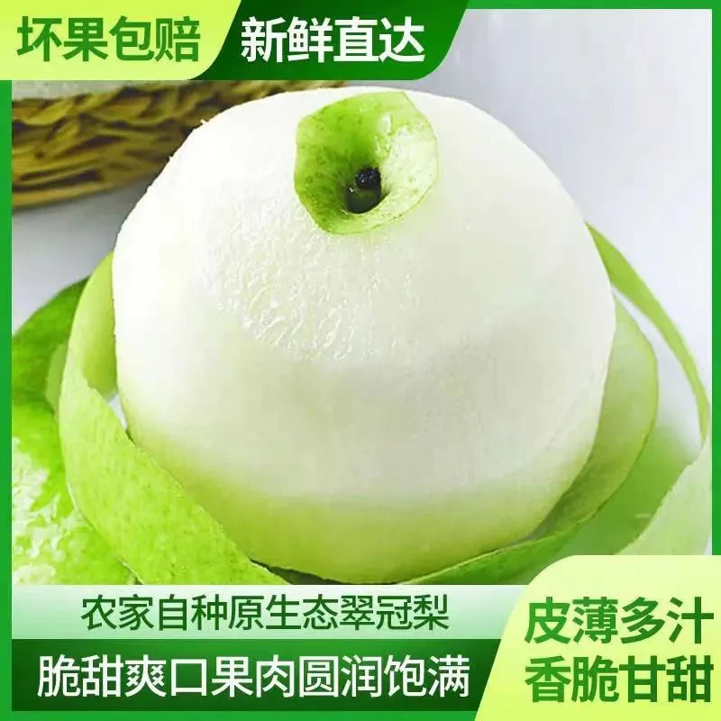 【半价抢】安徽正宗砀山梨青皮皇冠梨子新鲜水果梨甘甜酥脆5斤皮薄
