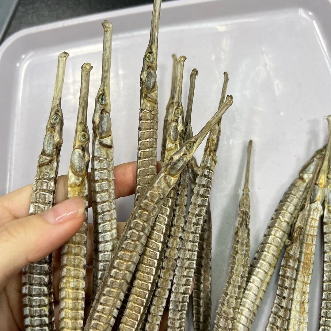 （直播）大海龙干货 鱼干10条