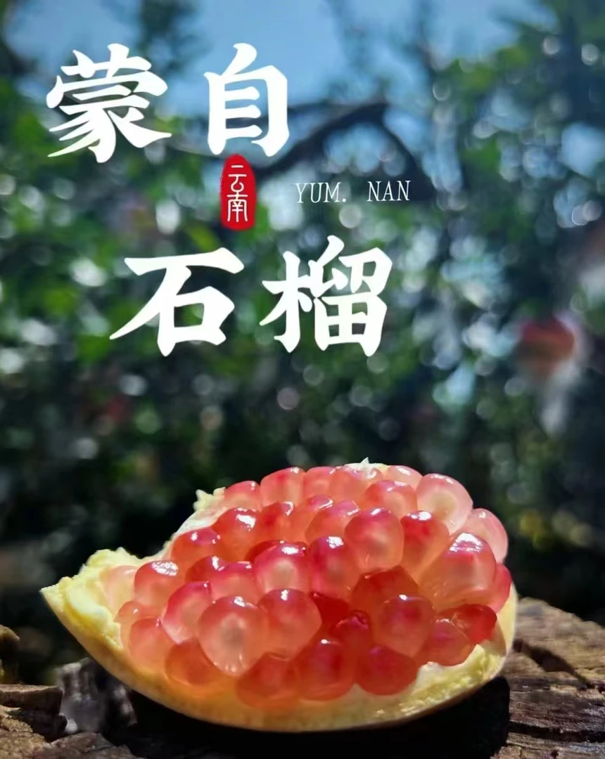 蒙自观颜石榴  9斤装（300g 果）