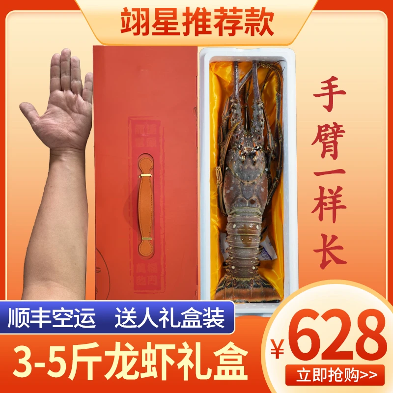 超大龙虾礼盒深海锁鲜活冻进口古巴礼盒装送人礼品3-5斤装一只
