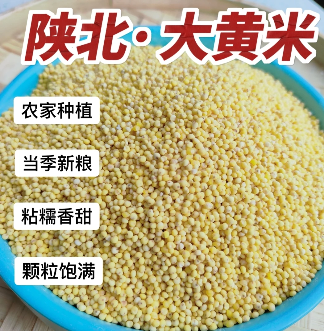 农家大黄米醇香软糯/包粽子/八宝饭/煮饭5/9斤全国包邮【偏远除外】