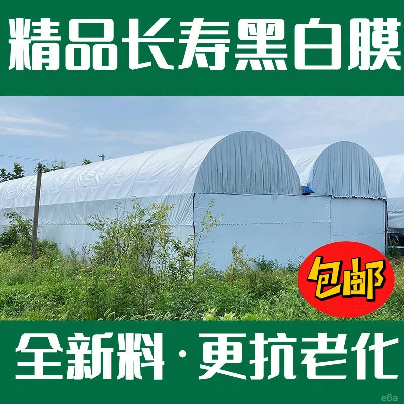 黑白膜加厚养殖农用大棚膜白色膜防寒防晒保温塑料布食用菌绿白膜