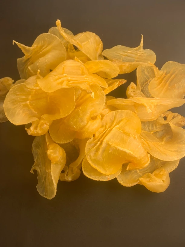 广东老石肚公鱼胶1-500g