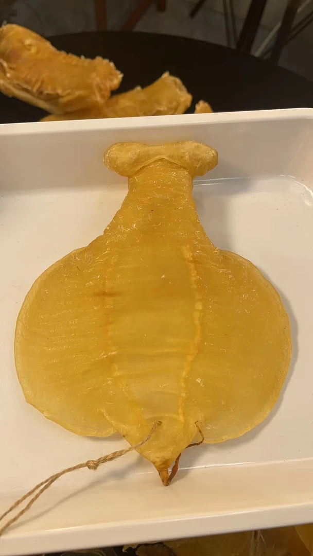广东石肚鱼胶1-500g