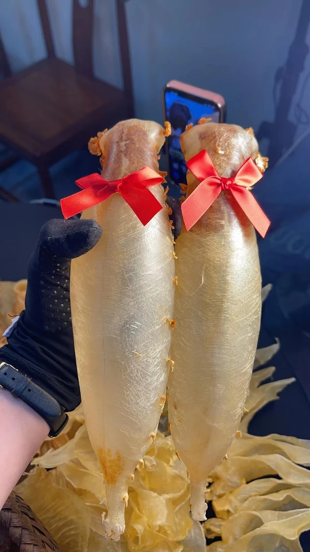 广东赤嘴筒鱼胶1-500g