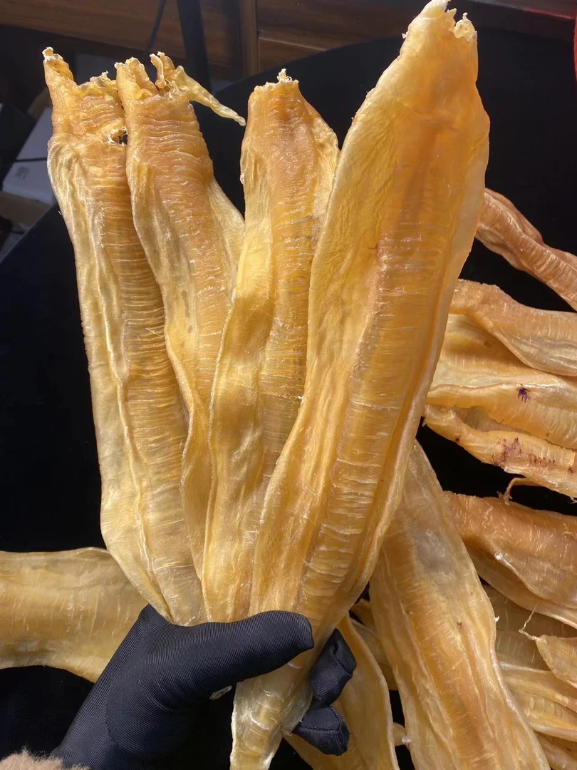 广东三念公鱼胶1-500g