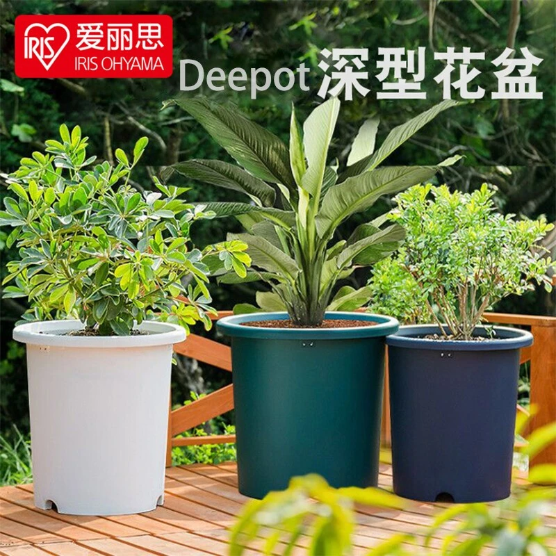 【拍1发2】爱丽思大号10号深型deepot花盆圆形家用树脂塑料龟背竹盆