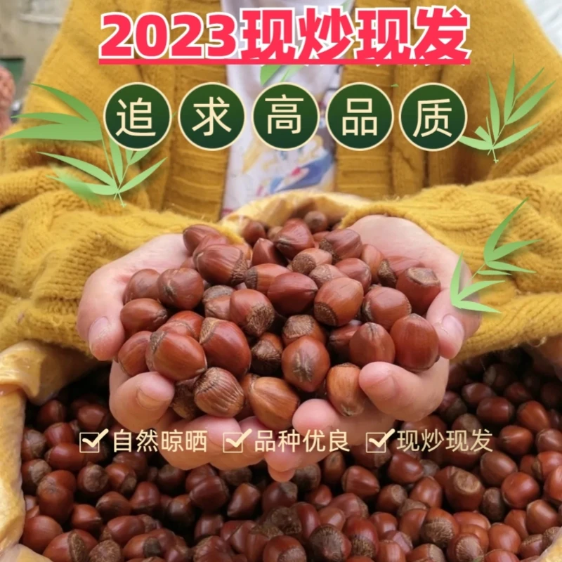 2023年新货现炒炒熟大榛子晒干东北特产玉坠水仁坚果生榛子坚果