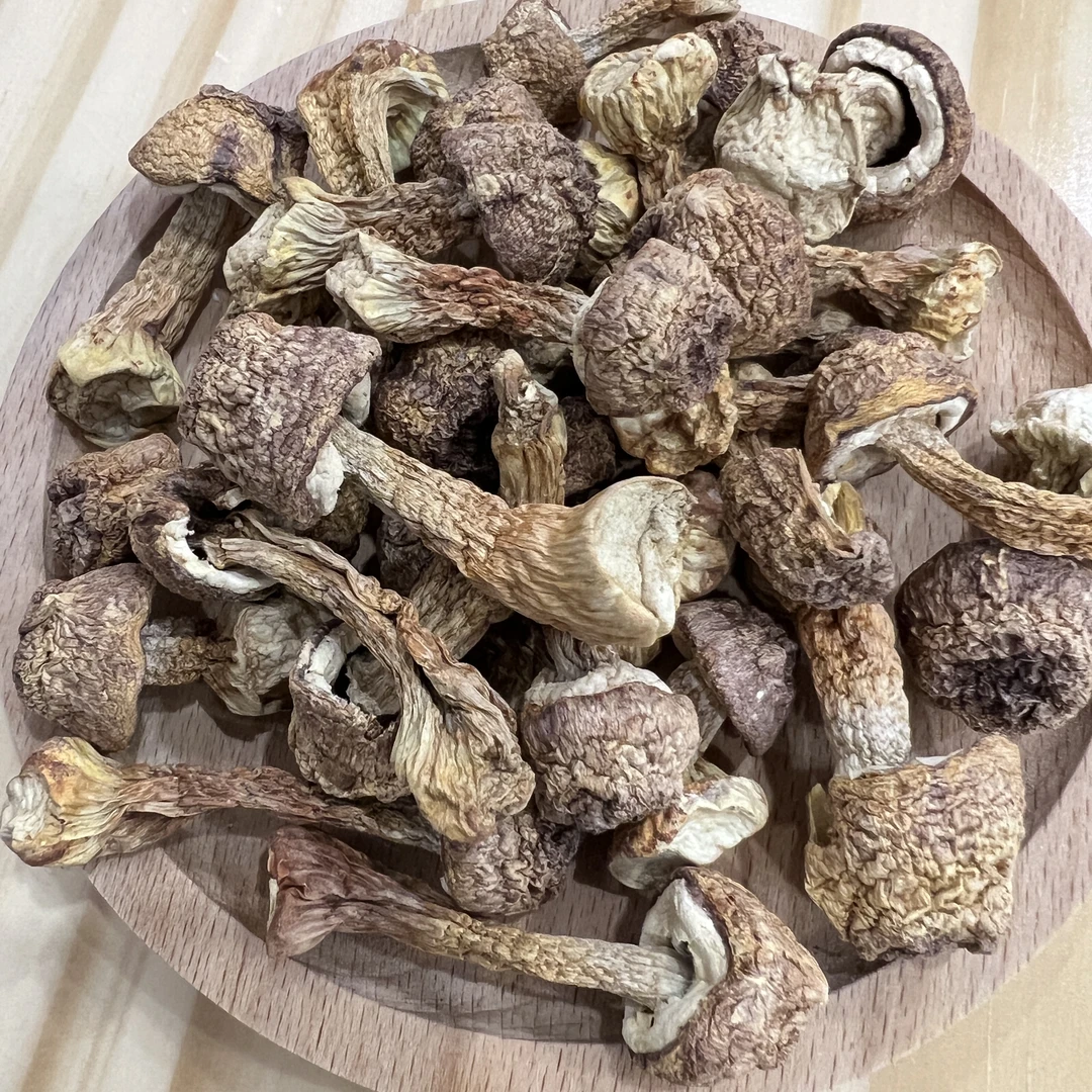 姬松茸 原色无硫 精选好货