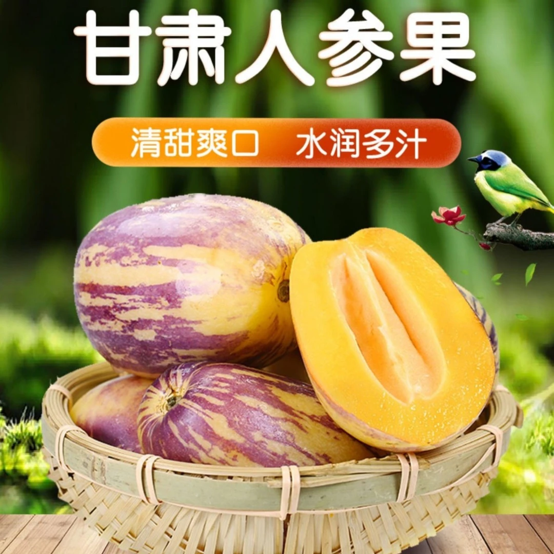 甘肃民勤沙漠人参果新鲜水果清甜多汁 5/8斤