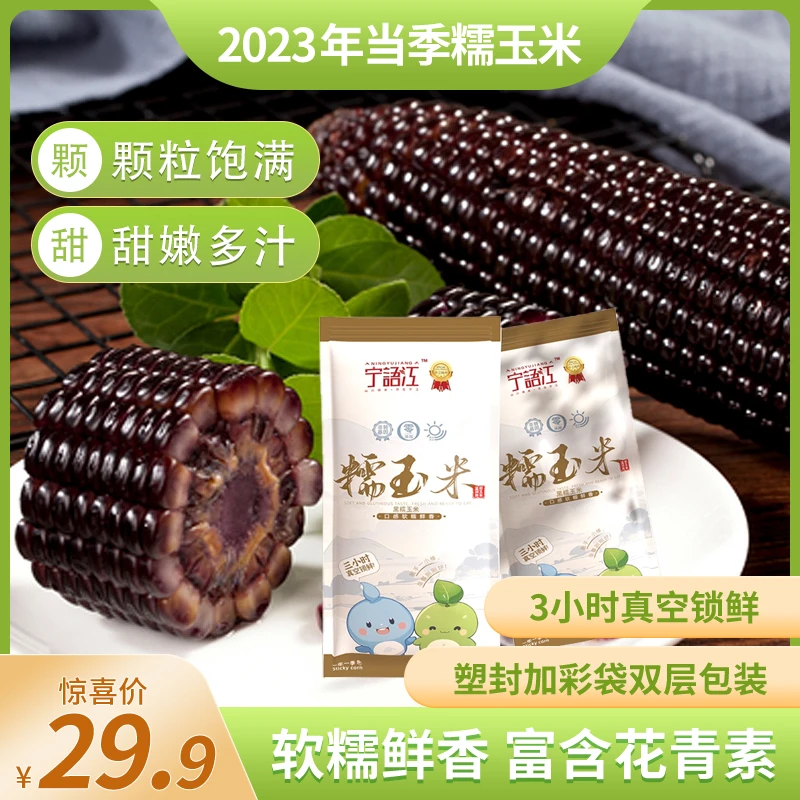 2023东北黑玉米天然脆鲜实黑糯玉米鲜香营养精选早餐搭配采摘食用
