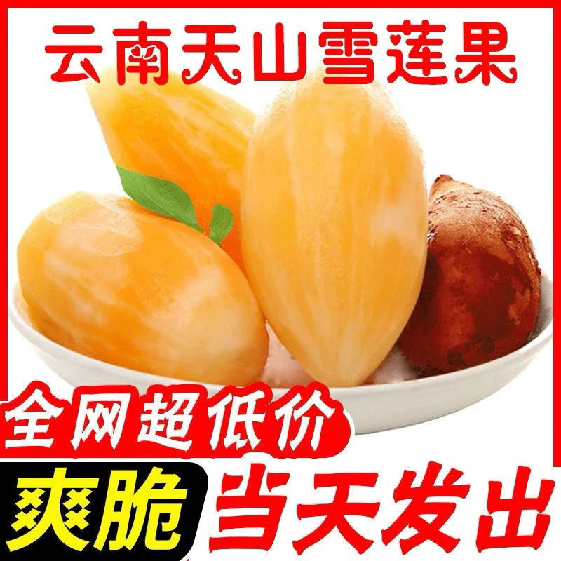 【2023新鲜现摘】云南天山雪莲果新鲜黄心雪莲果水果新鲜应季水果
