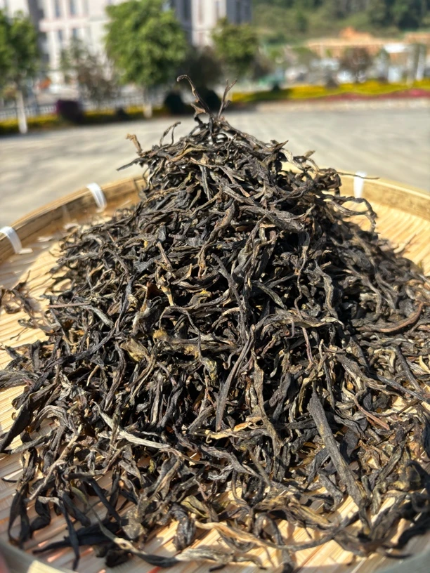 2023年春茶 古树纯料花果香蜜韵好 500克