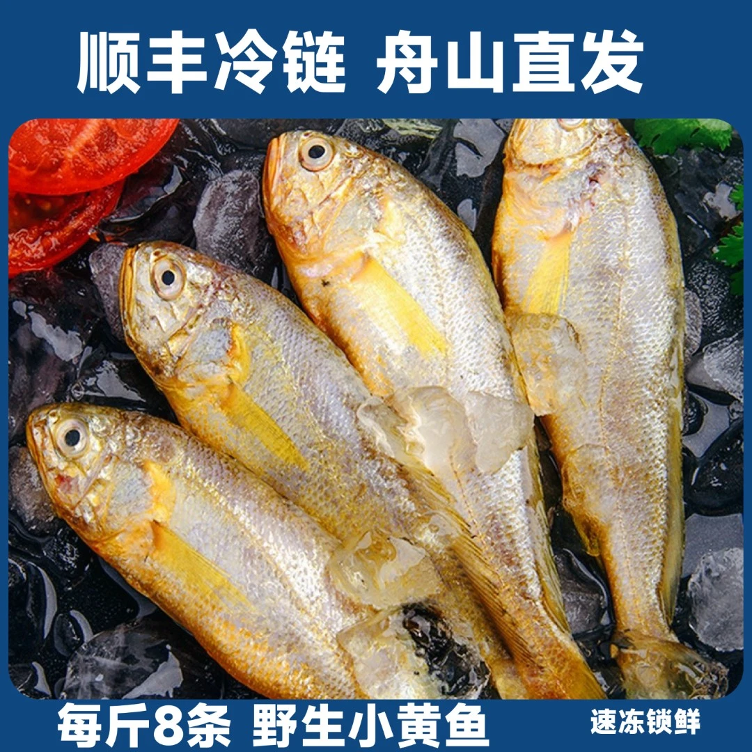 3斤舟山新鲜深海野生小黄鱼黄花鱼肉质鲜嫩蒜瓣肉顺丰冷链